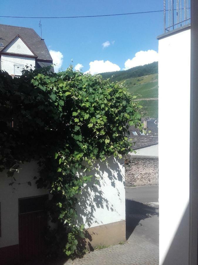 Ferienwohnung-Hallebach Целль-ан-дер-Мозель Экстерьер фото